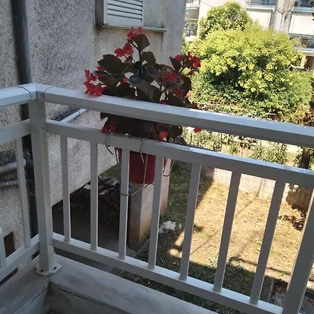 Little Beauty - Happyhostgr - In * 플라타모나스