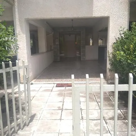 Little Beauty - Happyhostgr - In * 플라타모나스