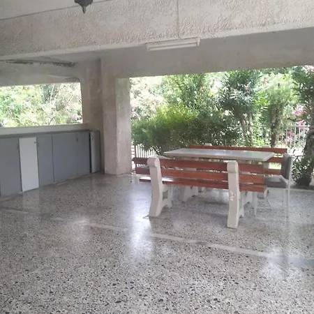 Little Beauty - Happyhostgr - In * 플라타모나스