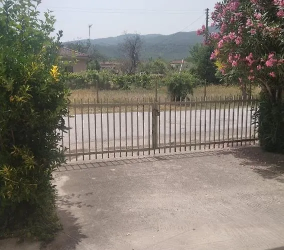 Little Beauty - Happyhostgr - In *