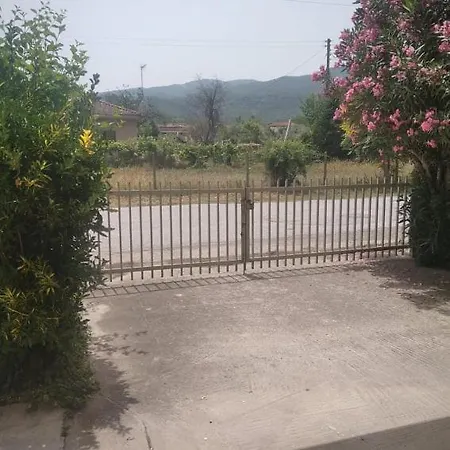 Little Beauty - Happyhostgr - In *