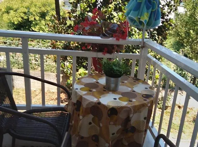 Little Beauty - Happyhostgr - In *